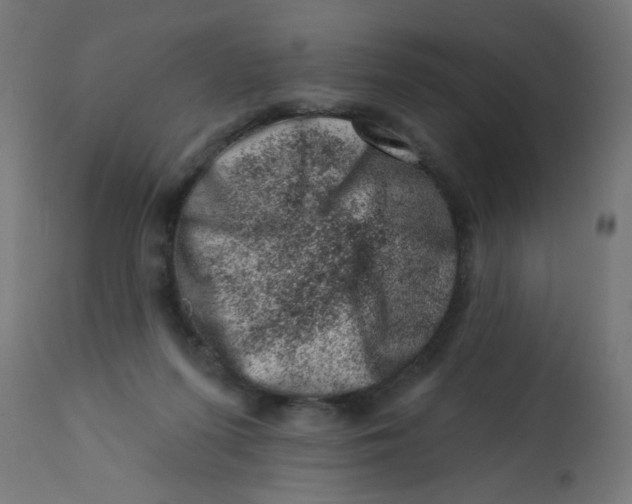 X0000113200215200910081300