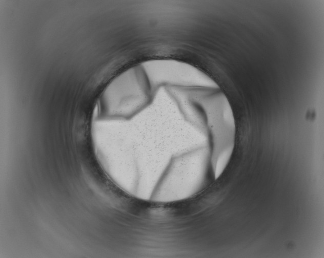 X0000113200216200910081300