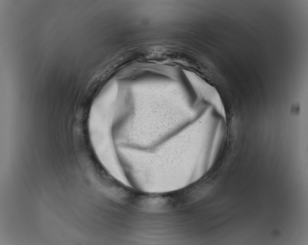 X0000113200217200910081300