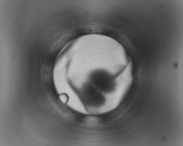 X0000113200218200910081300