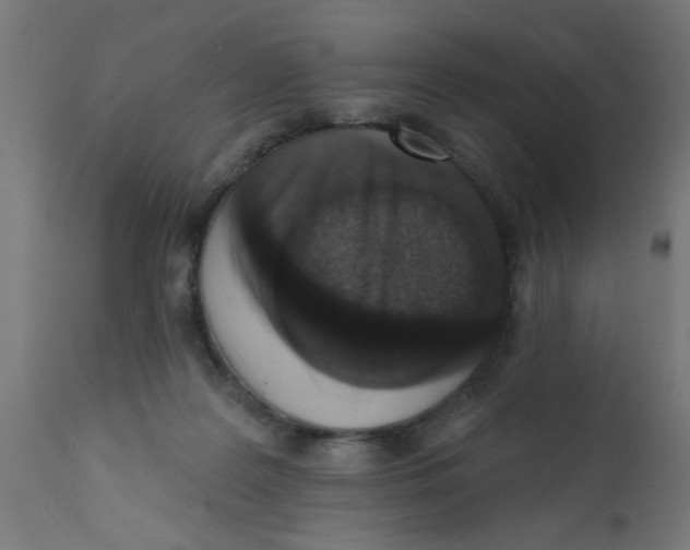 X0000113200219200910081300