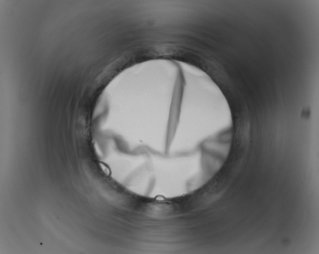 X0000113200220200910081300