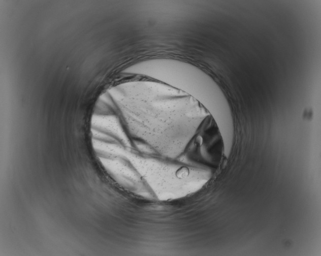 X0000113200221200910081300
