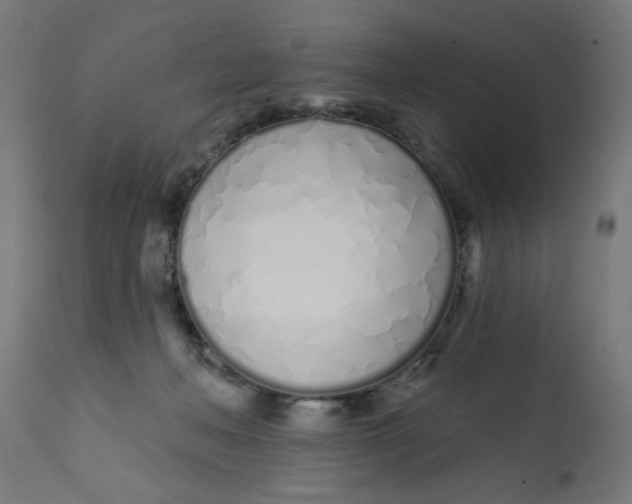 X0000113200222200910081300