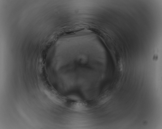 X0000113200223200910081300