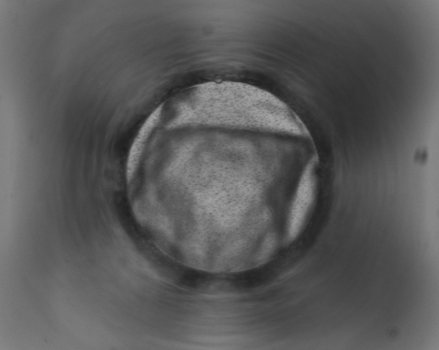 X0000113200224200910081300