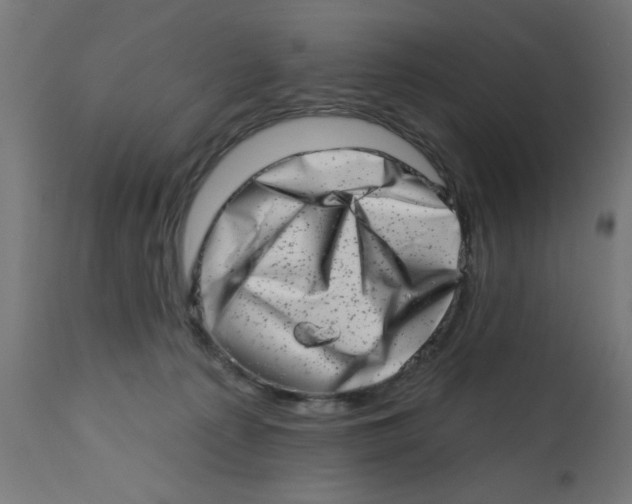 X0000113200225200910081259