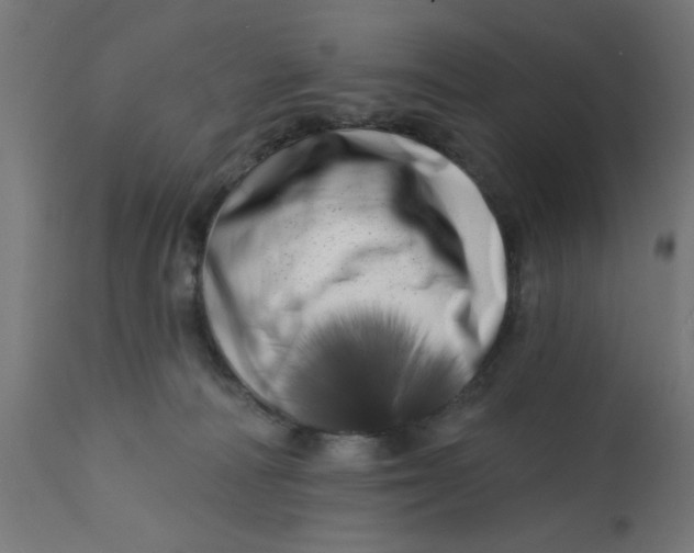X0000113200226200910081259