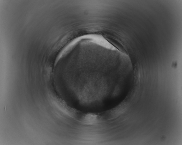 X0000113200227200910081259