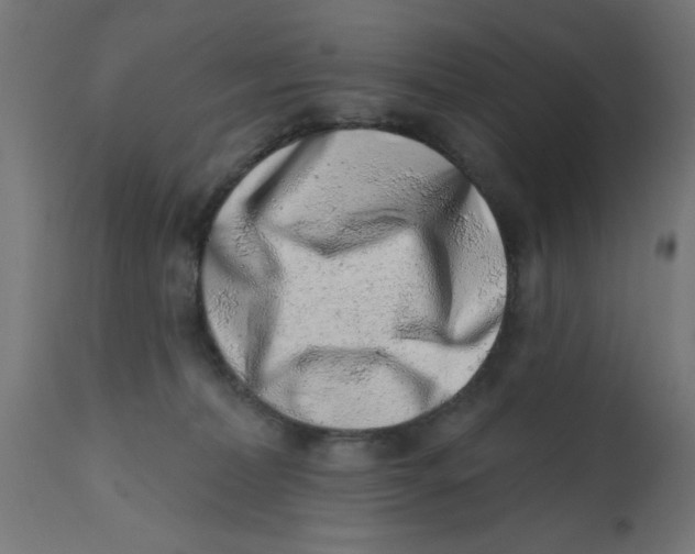 X0000113200228200910081259