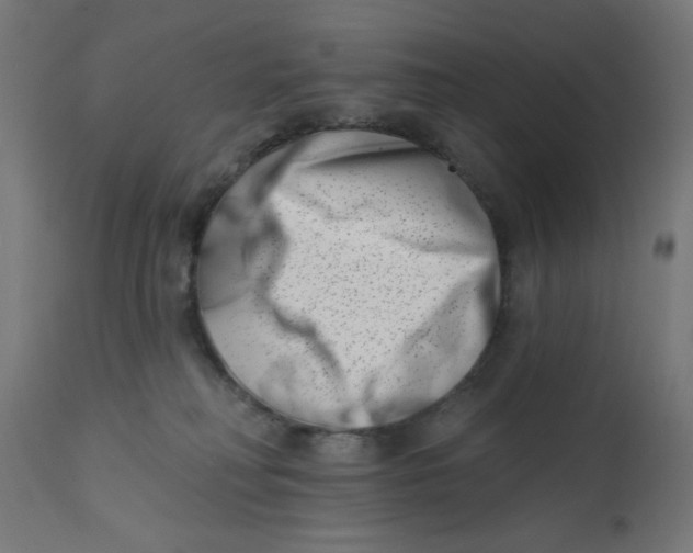 X0000113200230200910081259