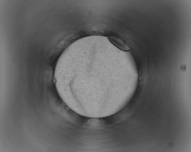 X0000113200231200910081259