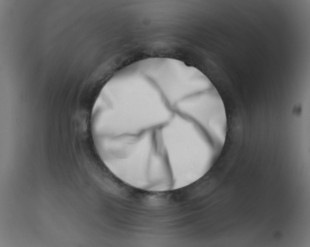 X0000113200232200910081259