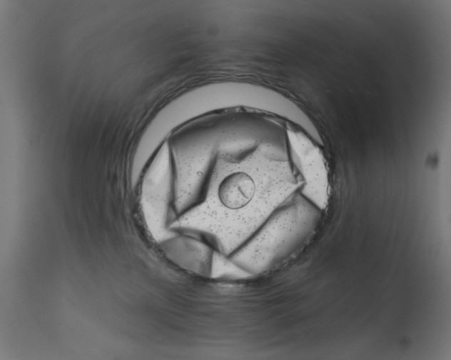 X0000113200233200910081259