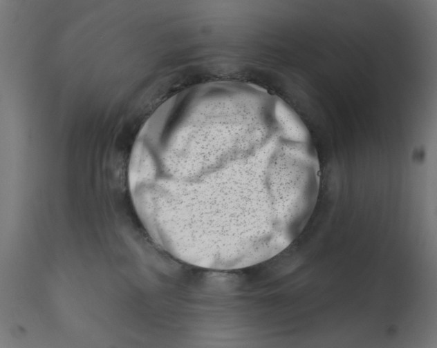 X0000113200234200910081259