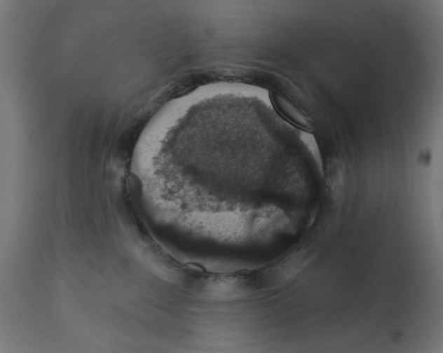 X0000113200235200910081259