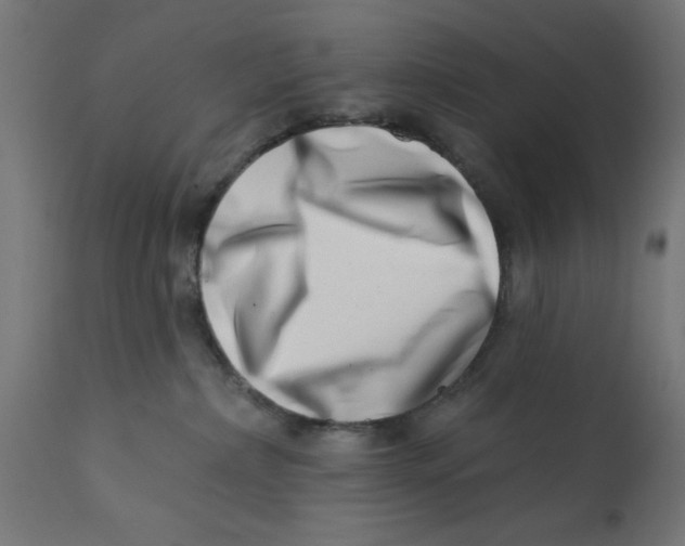 X0000113200236200910081259