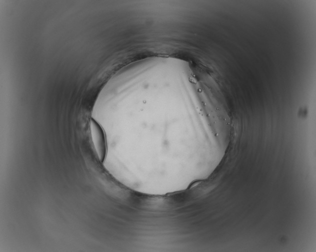 X0000113200237200910081259