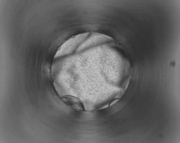 X0000113200238200910081259