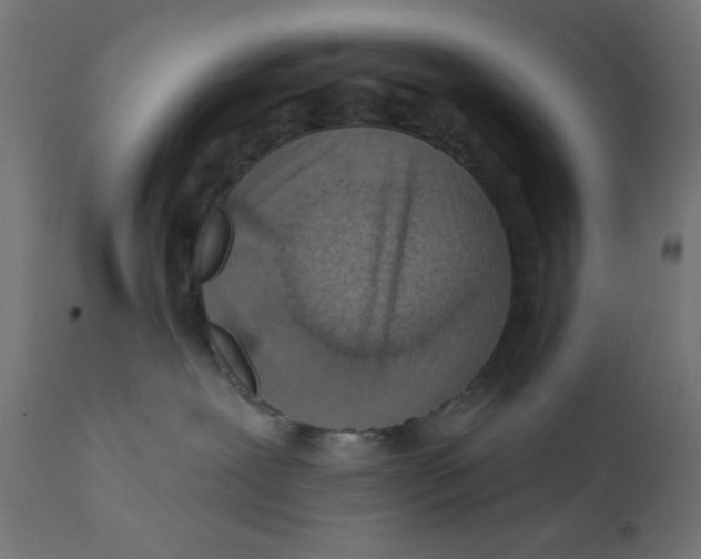 X0000113200239200910081259