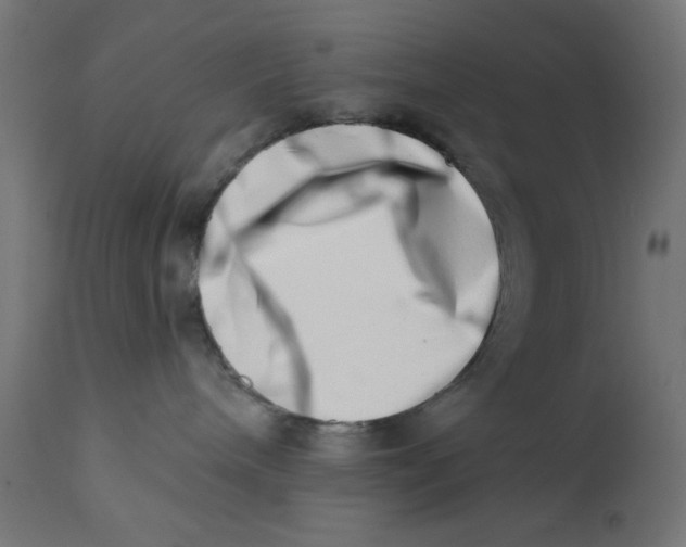 X0000113200240200910081259