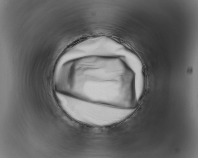 X0000113200241200910081259