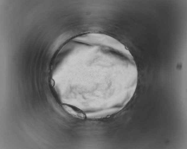 X0000113200242200910081259