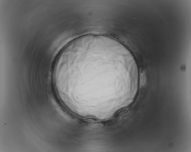 X0000113200243200910081259