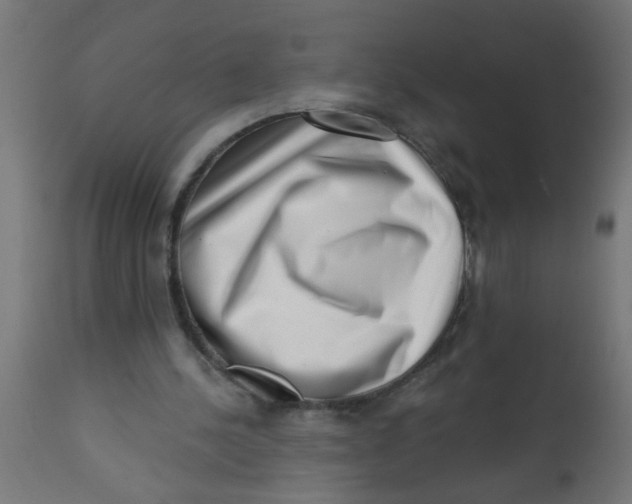 X0000113200244200910081259