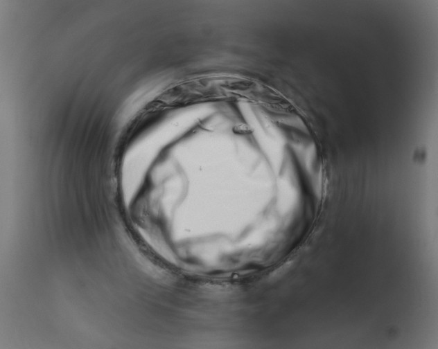 X0000113200245200910081259