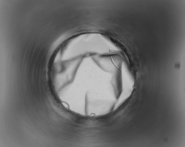 X0000113200246200910081259