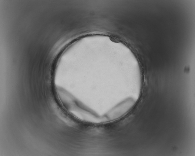 X0000113200247200910081259