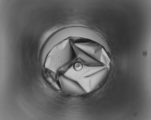 X0000113200248200910081259