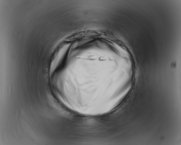 X0000113200249200910081259