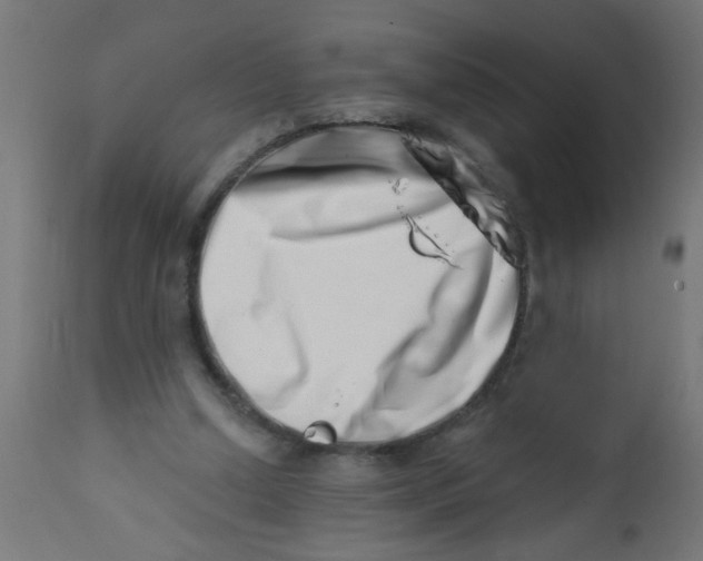 X0000113200250200910081259