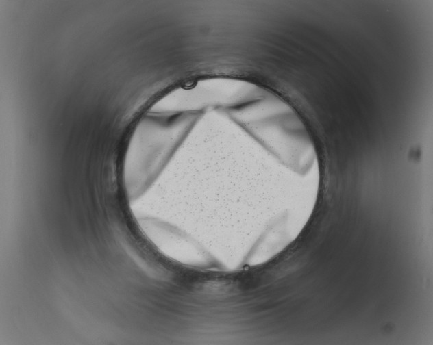 X0000113200251200910081259