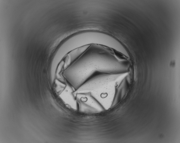 X0000113200252200910081259
