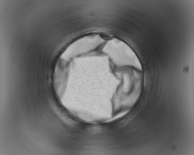 X0000113200253200910081259