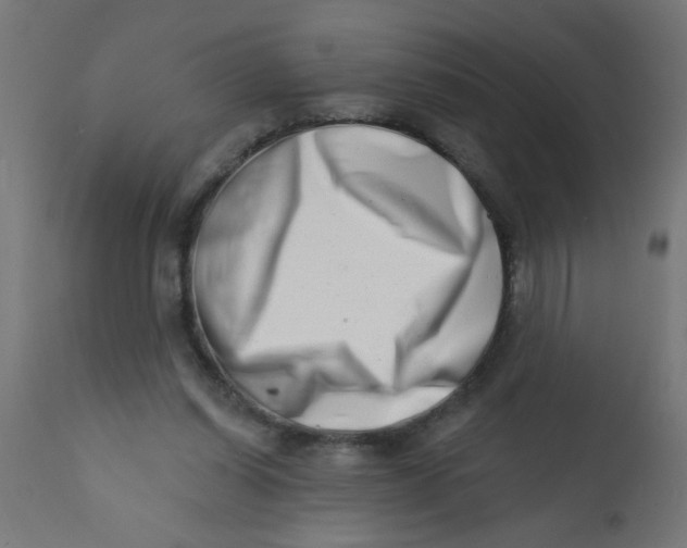 X0000113200254200910081259