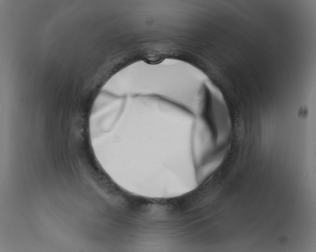 X0000113200255200910081259