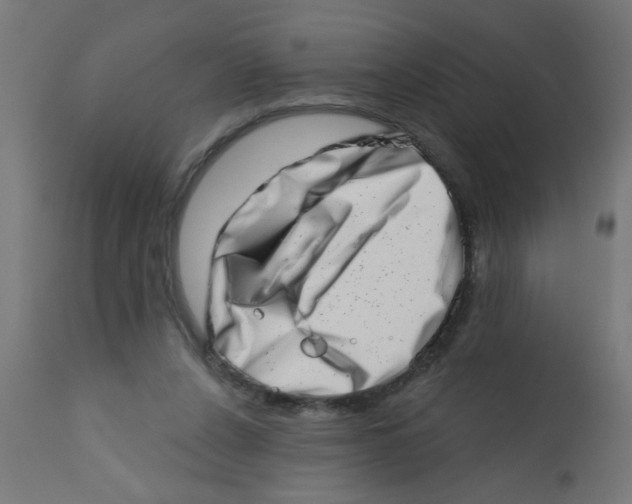 X0000113200256200910081259
