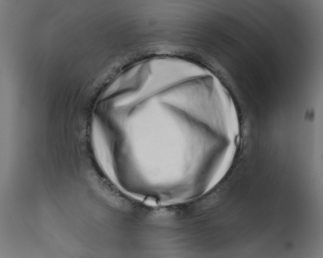 X0000113200257200910081259