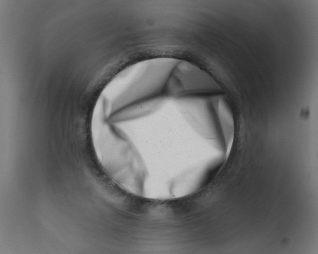 X0000113200258200910081259