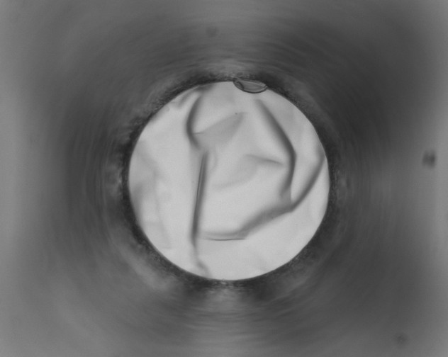 X0000113200259200910081259