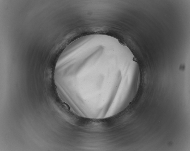 X0000113200260200910081259