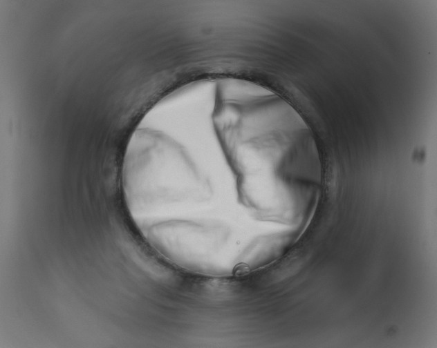 X0000113200261200910081259