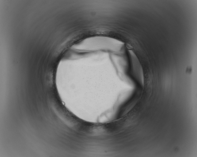 X0000113200262200910081259