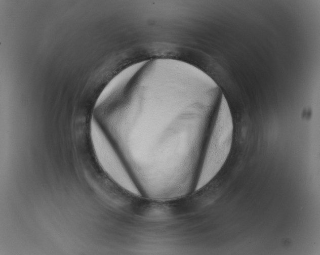 X0000113200263200910081259