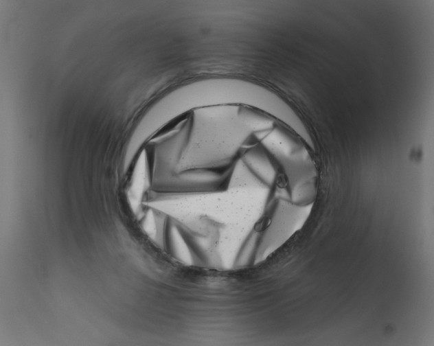 X0000113200264200910081259