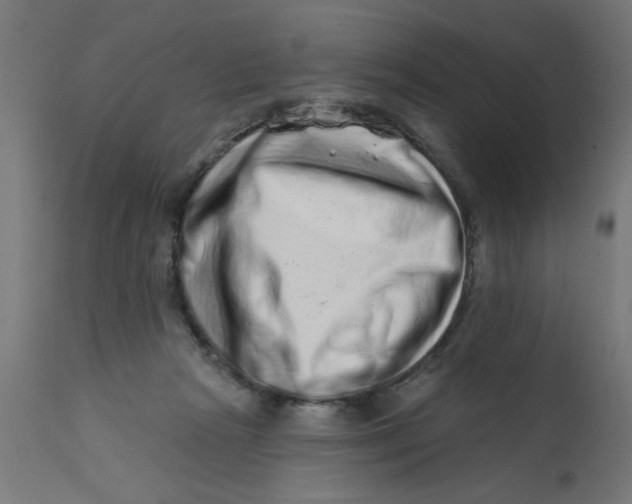 X0000113200265200910081259